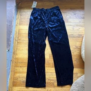 Zara men’s Velour crushed velvet pants large